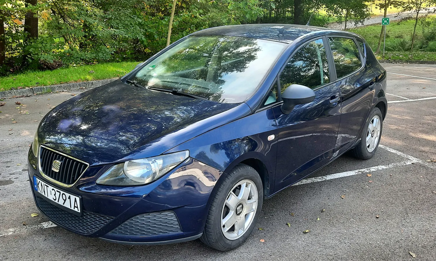Seat Ibiza 1.2 12V Reference 70PS 190tkm Klima