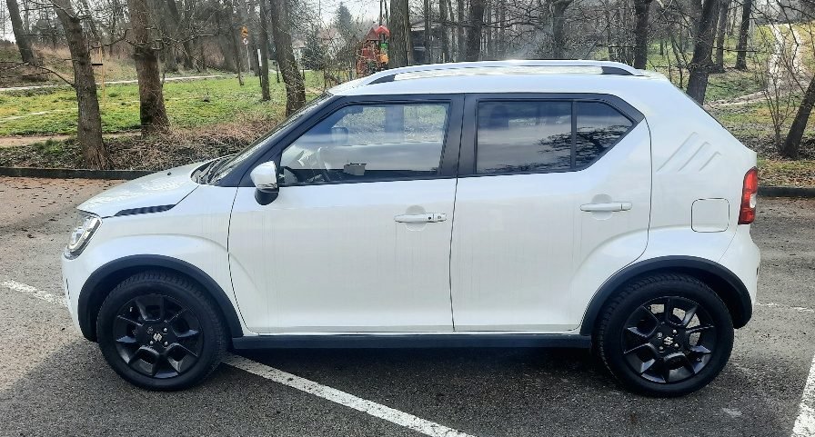 Miniaturka